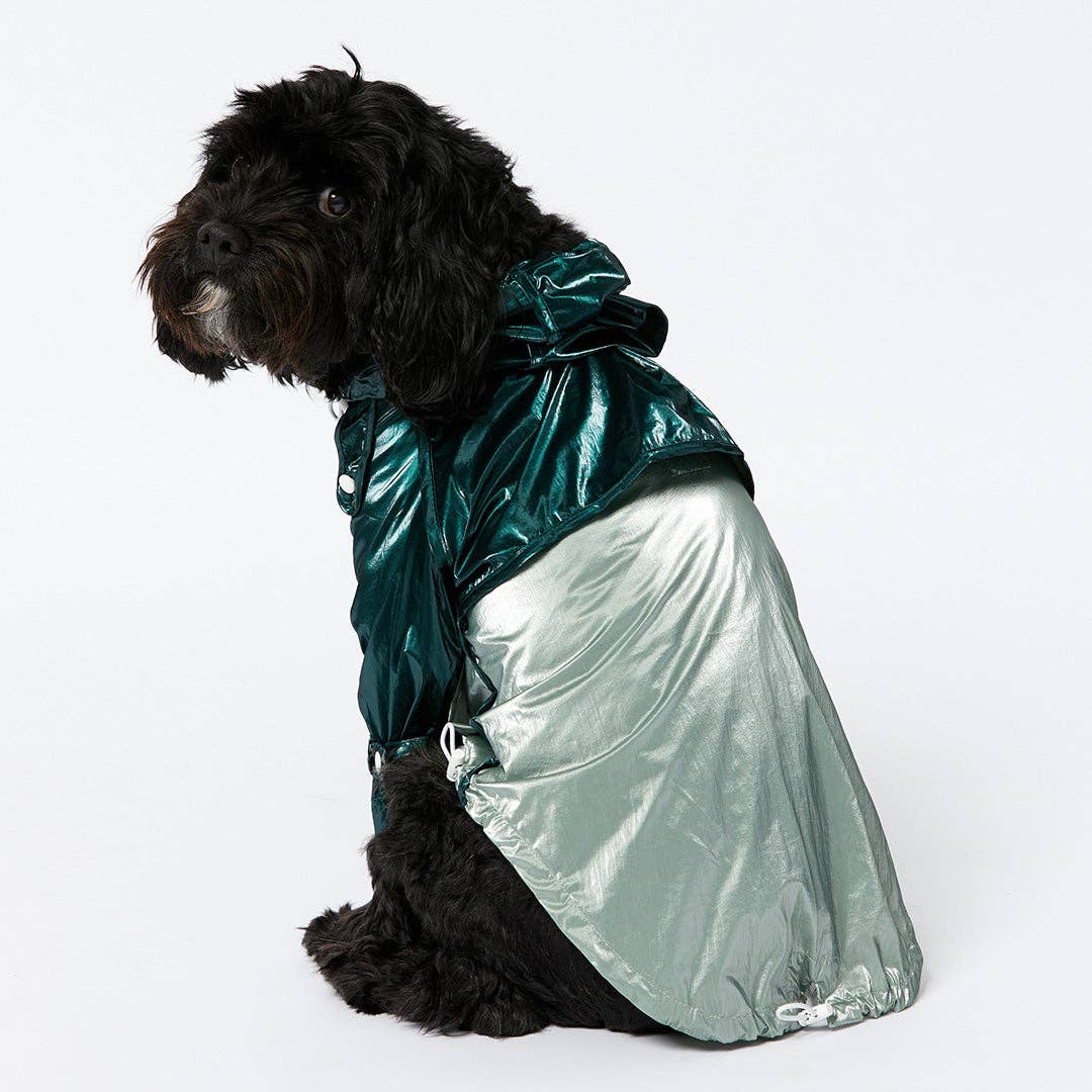 Black dog wearing a green raincoat on a white background