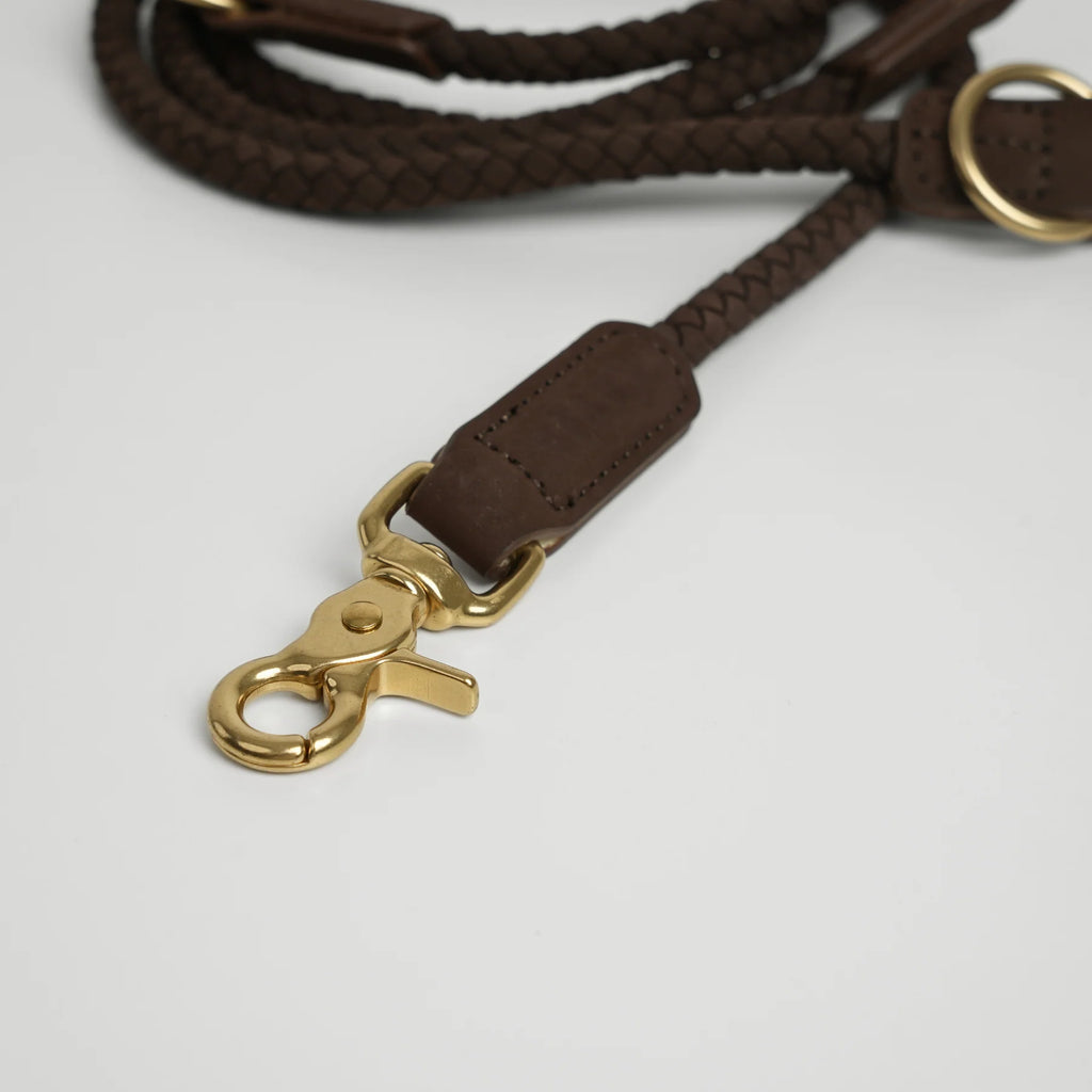 Brown braided leather dog leash with gold clasp on a light gray background