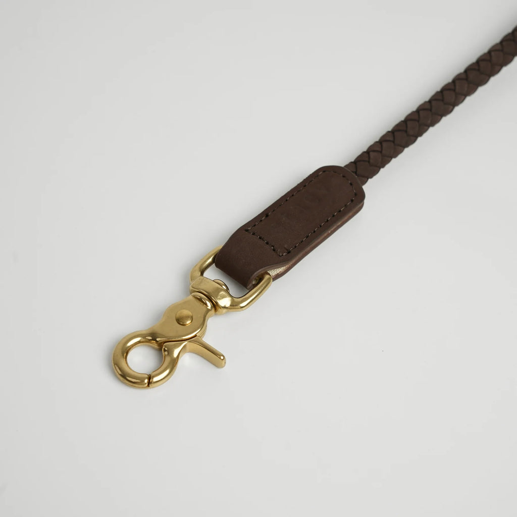 Brown braided leather leash with gold clasp on a light gray background