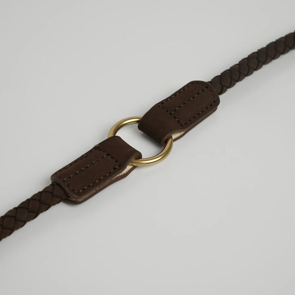 Brown braided leather leash with a gold buckle on a light gray background