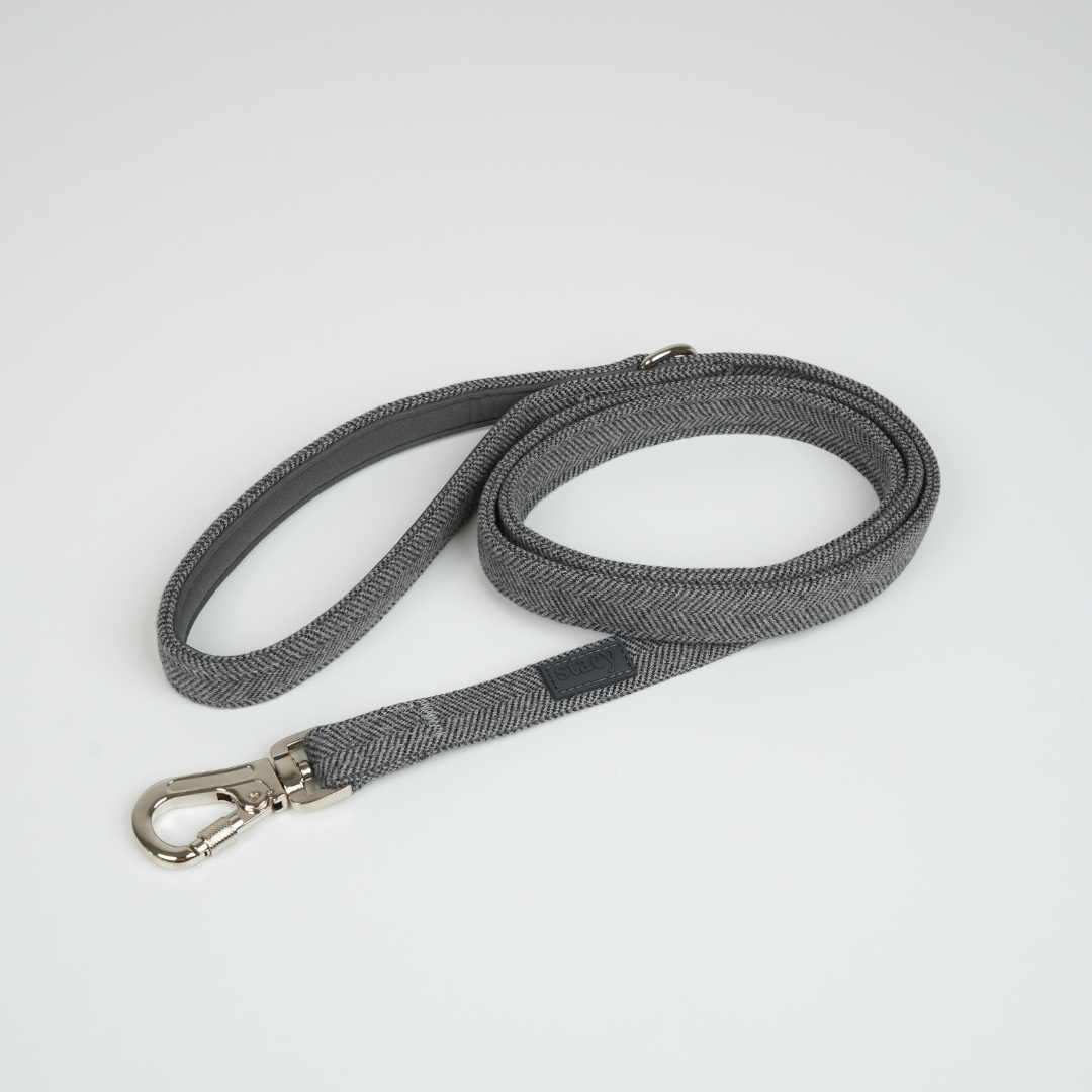 Elma Dog Leash