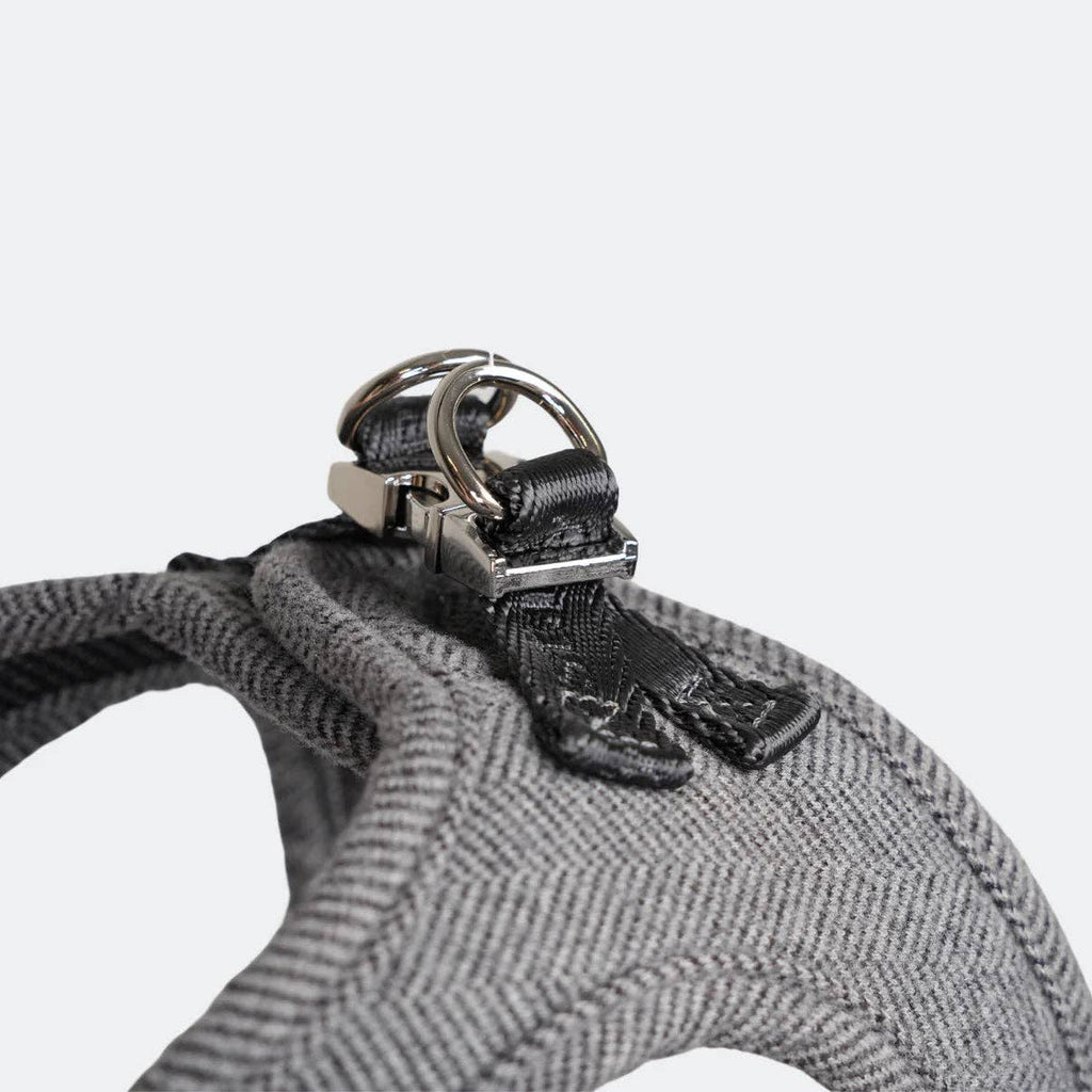Saga Step-In Dog Harness | Dusty Blue