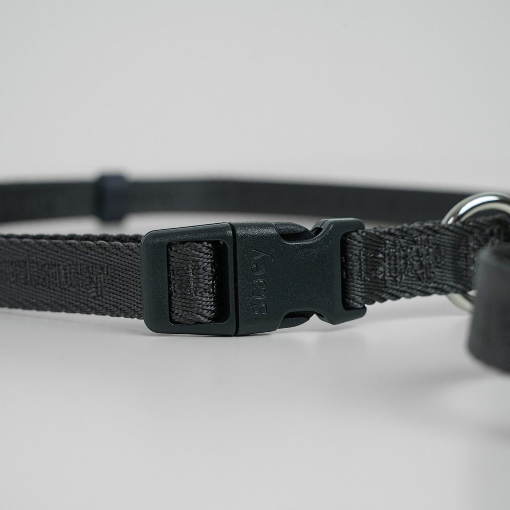 Hands-Free Dog Leash