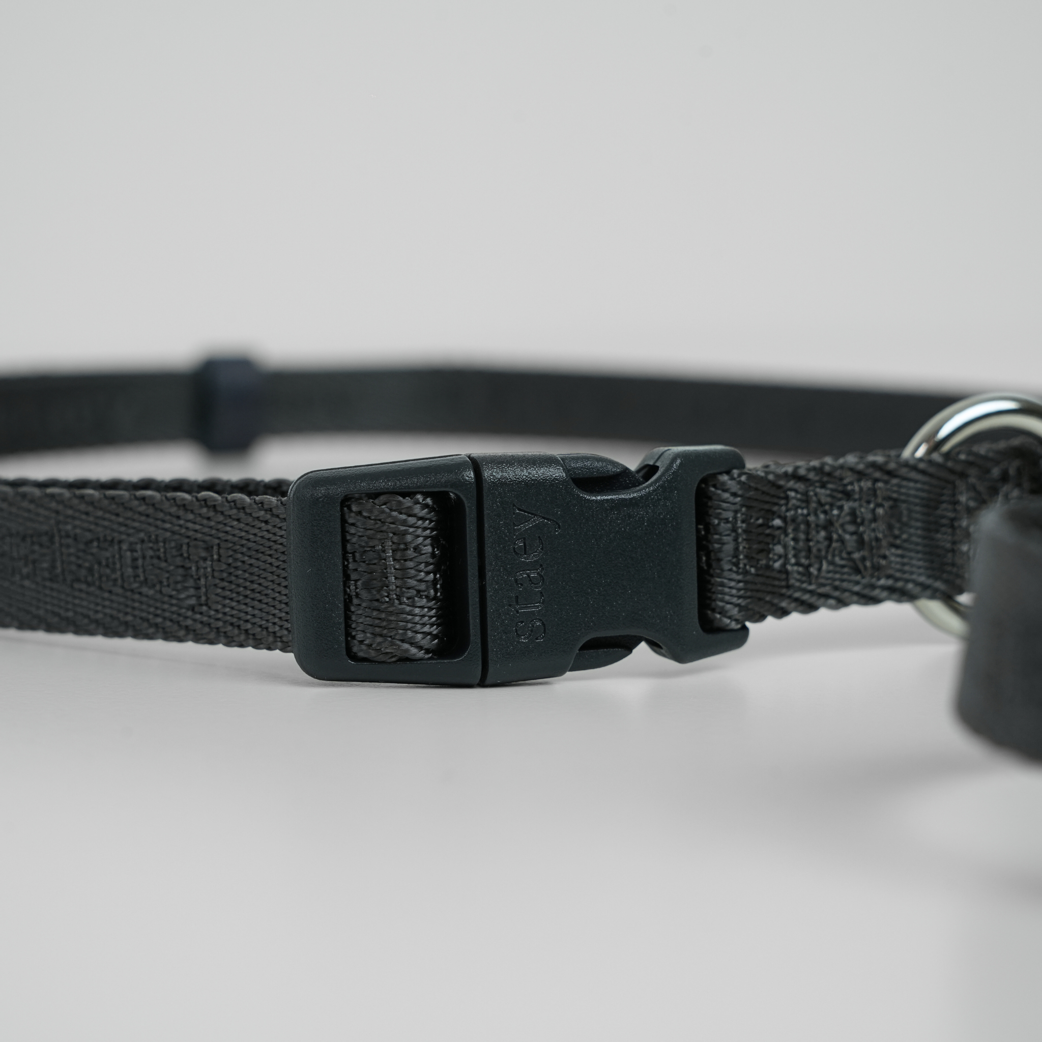 Hands-Free Dog Leash