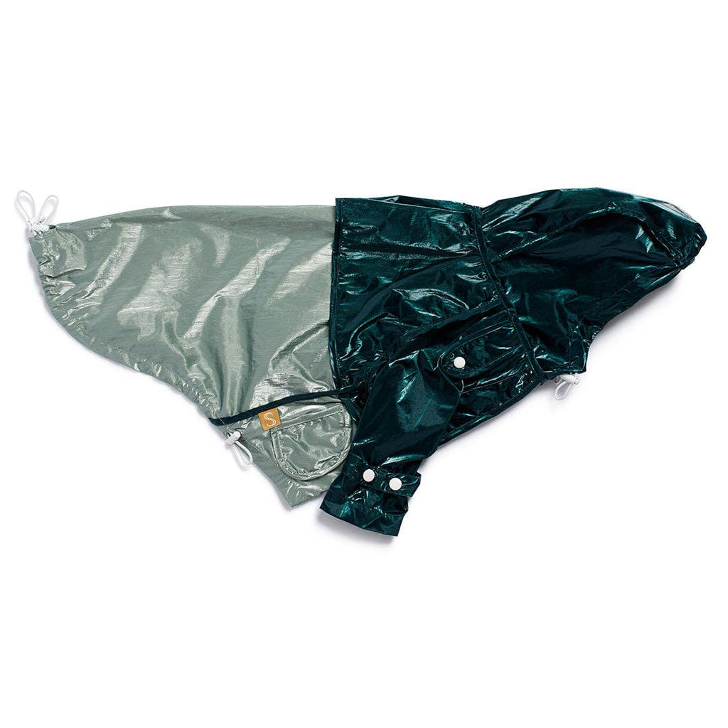 Teal dog raincoat with a white background