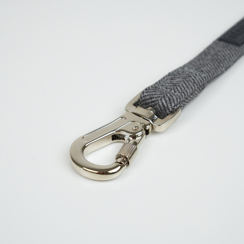 Elma Dog Leash