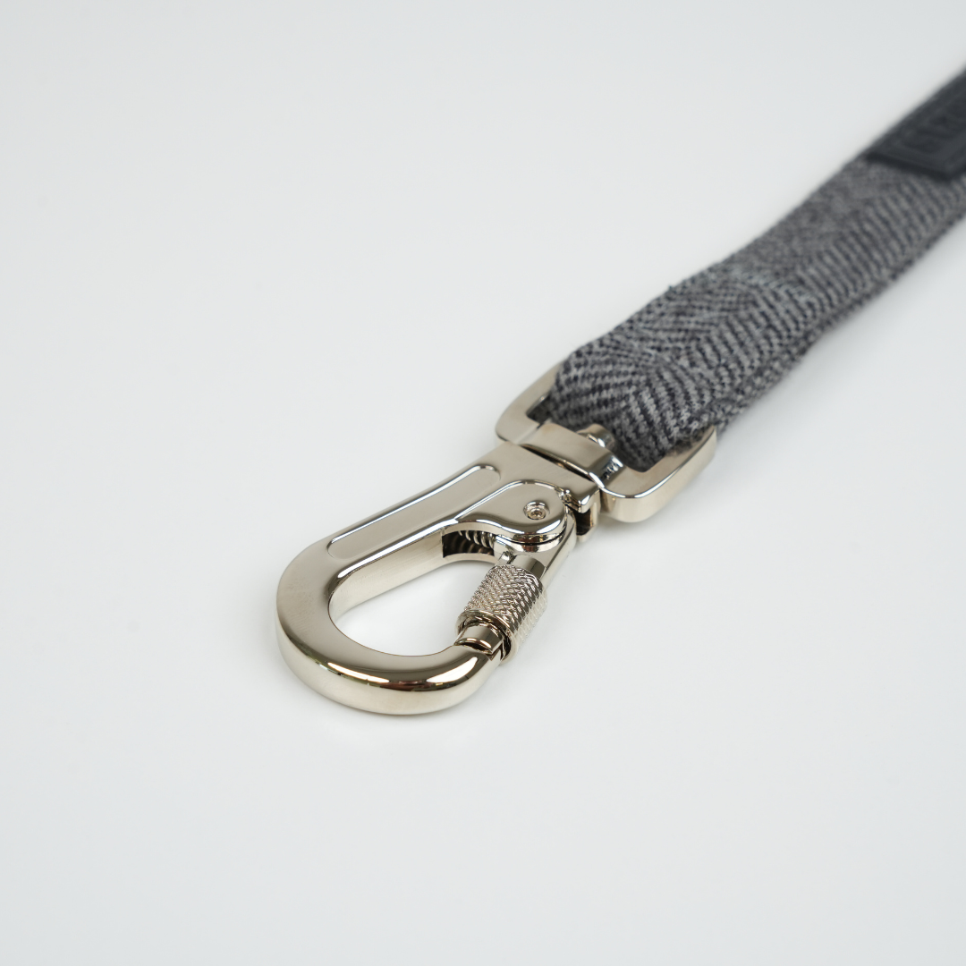 Elma Dog Leash