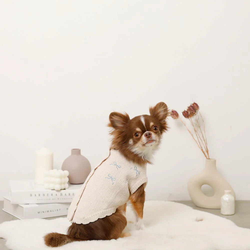 Small dog wearing a beige sweater with blue ribbon patterns, sitting on a white surface.