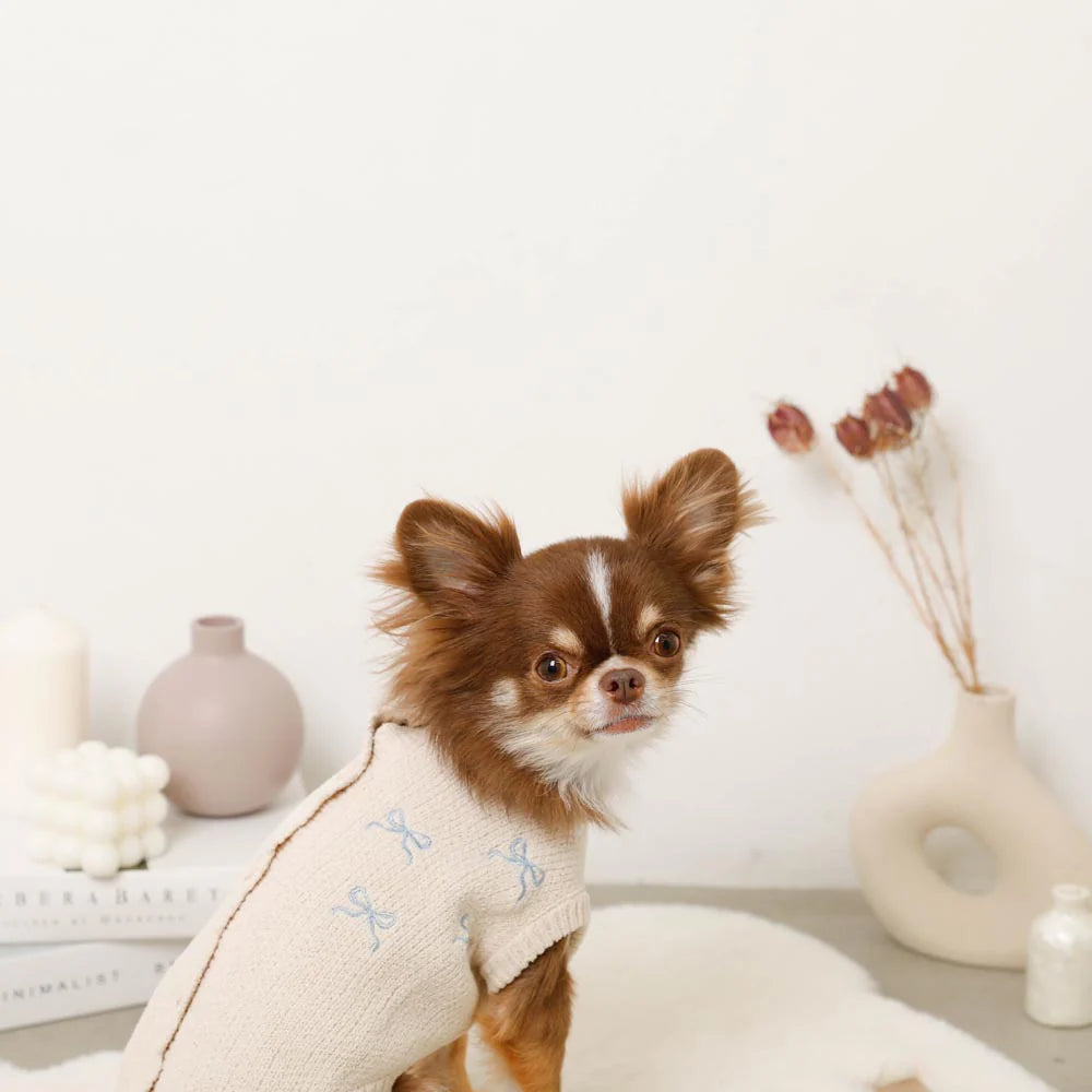 Small dog wearing a beige sweater with blue patterns, sitting on a white surface.