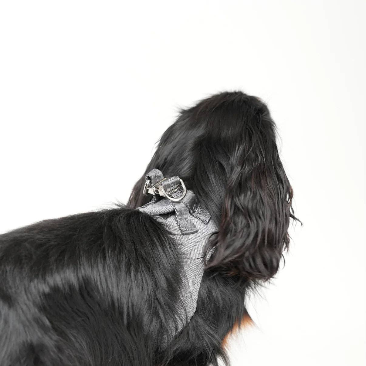 Saga Step-In Dog Harness | Dusty Blue