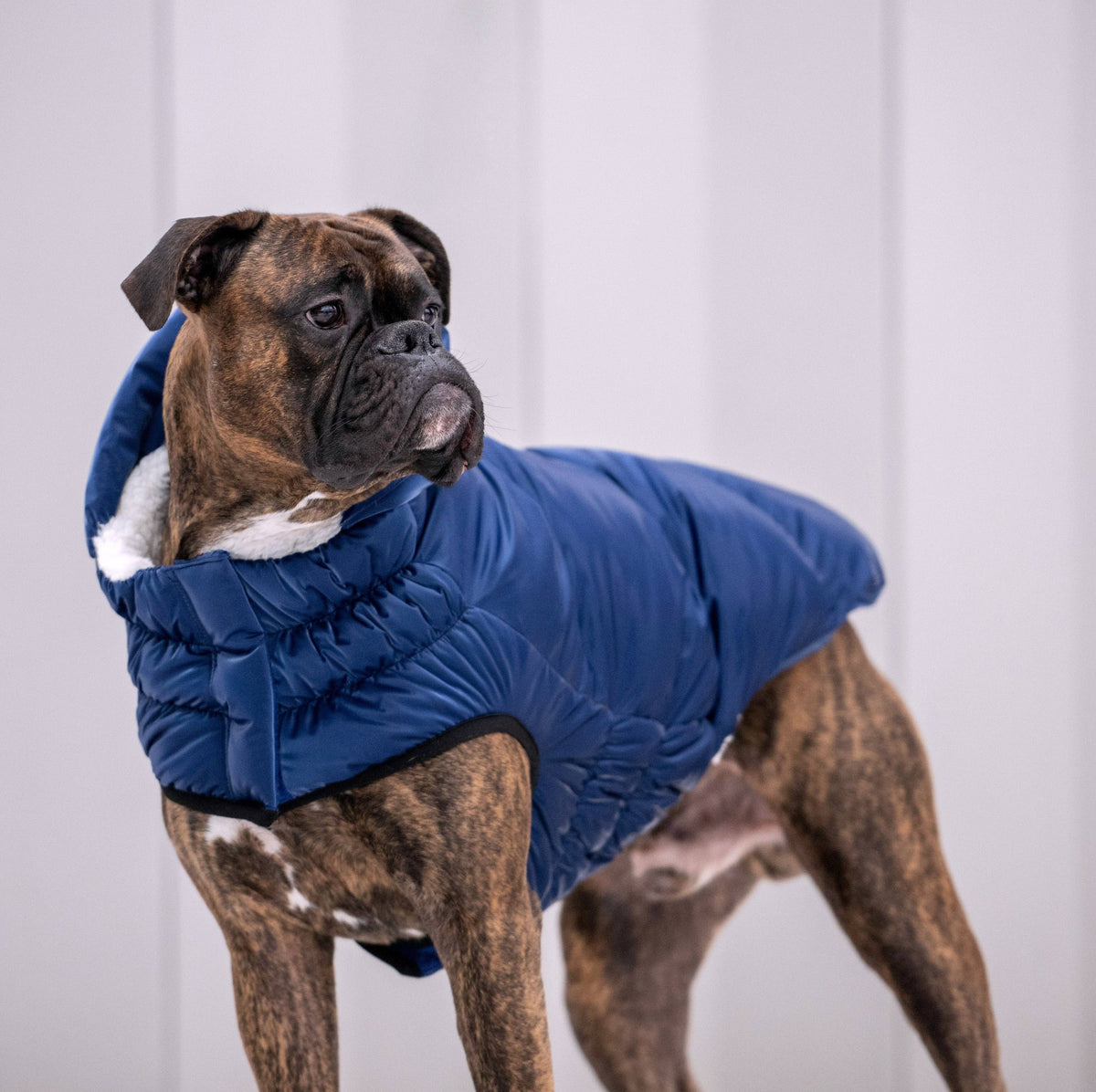 Lunar Glow Parka | Blue