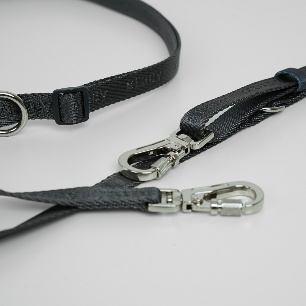 Hands-Free Dog Leash