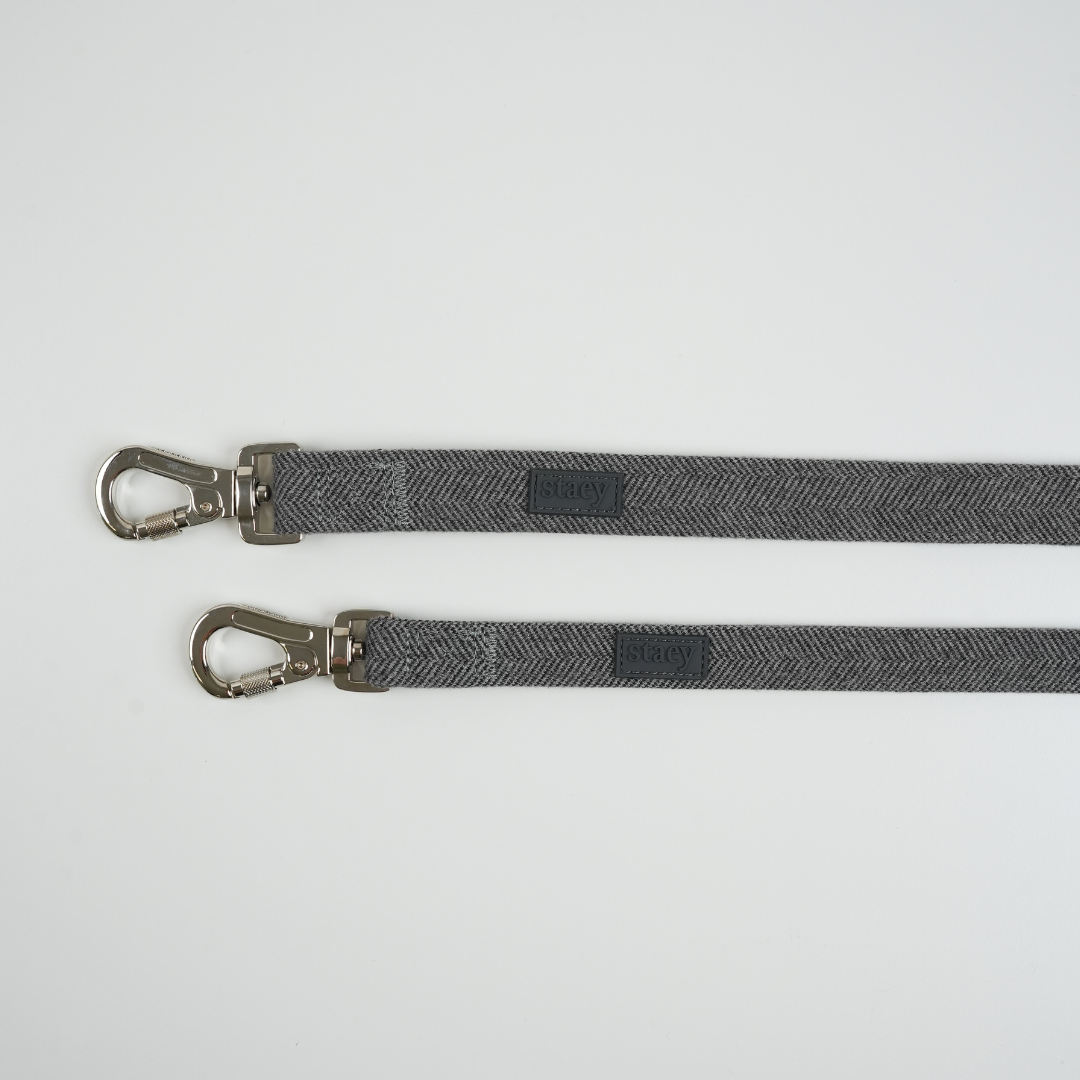 Elma Dog Leash