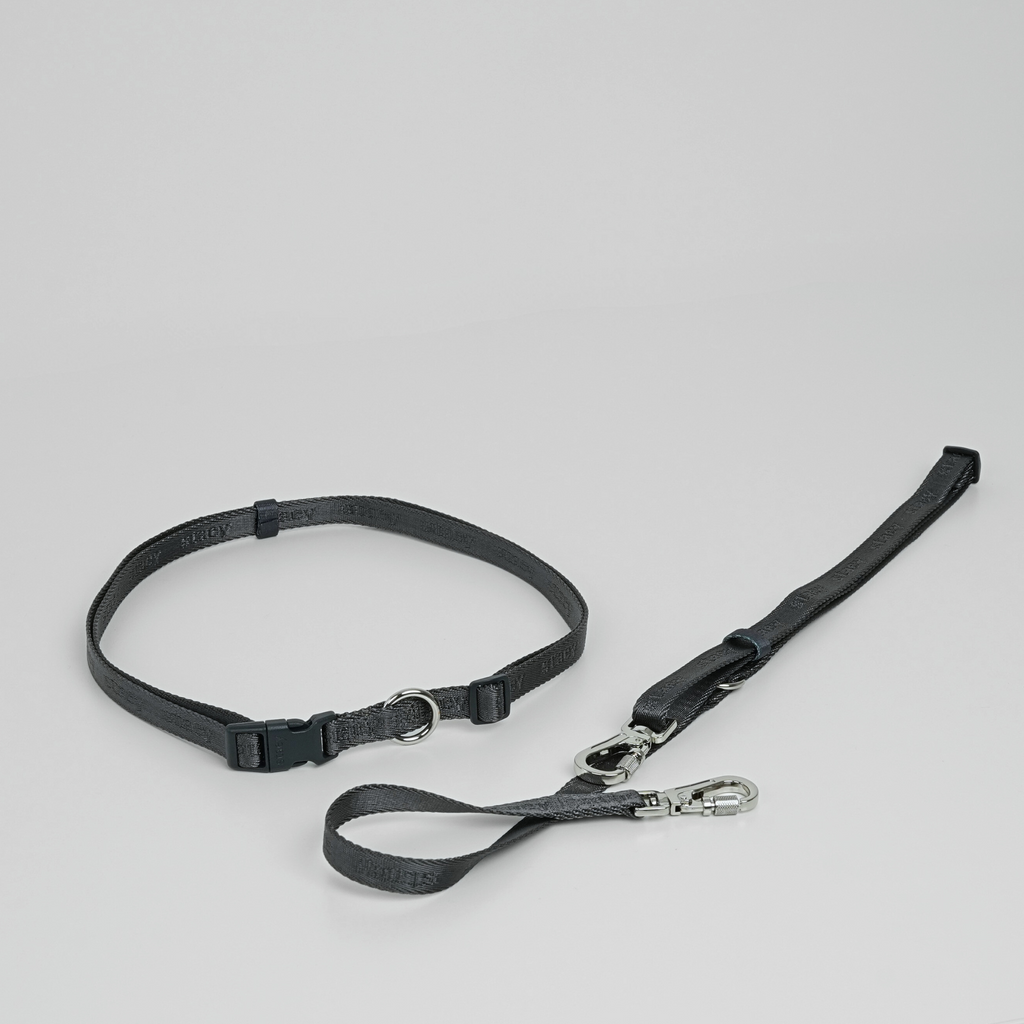 Hands-Free Dog Leash