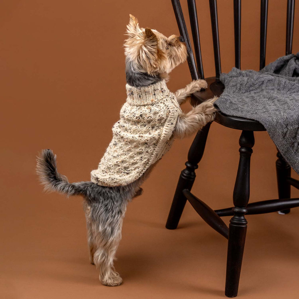 Alpaca Dog Sweater | Speckled Ivory